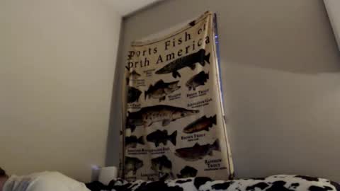 Snapshot of 18str8igcock chatting on 1, 11, 2025 18str8igcock online show from 1, 11, 2025