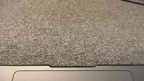 1arkansasguy online show from 1, 1, 2025