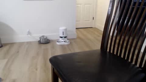 Snapshot of 1dad2plz chatting on 9, 11, 2025 i erupt if you suck ur nipples 4 me and look at the camera while watching me online show from 9, 11, 2025