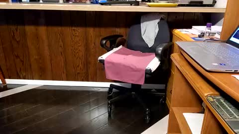 Snapshot of 1hotcrossdresser chatting on 4, 1, 2025 Brianna online show from 4, 1, 2025