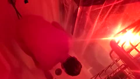 1knightluver69 online show from 31, 3, 2026