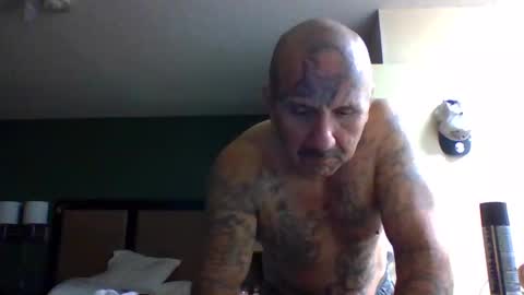 Snapshot of 1nastya8 chatting on 17, 12, 2025 TheShyOne18 online show from 17, 12, 2025