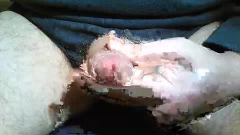 2001uwuk online show from 16, 11, 2025