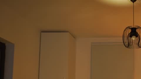 tweetypie online show from 28, 2, 2026