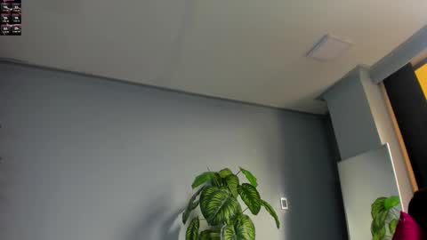 2_fire online show from 6, 11, 2025