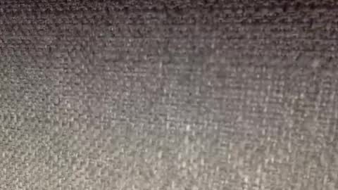 30nick online show from 19, 4, 2026