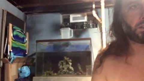 Snapshot of 33adidas chatting on 26, 11, 2025 33adidas online show from 26, 11, 2025