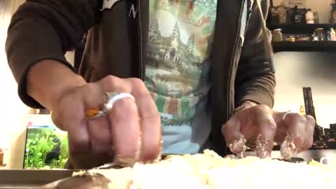 6990fiko online show from 1, 2, 2025