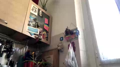 6990fiko online show from 4, 3, 2025