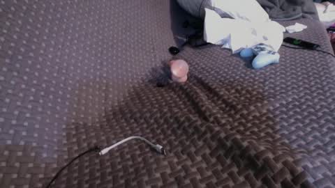 Snapshot of 69ass_tastic chatting on 2, 3, 2025 Chris online show from 2, 3, 2025