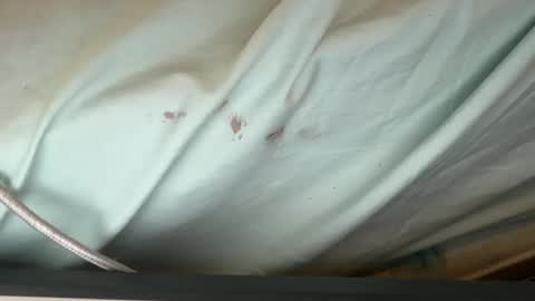 FUCKR online show from 12, 9, 2025