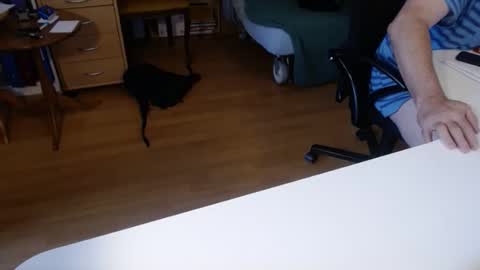 69pifpaf online show from 23, 11, 2025