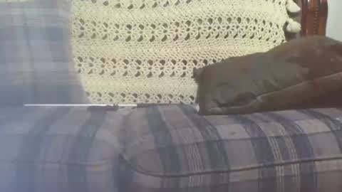 69sextoyboy69 online show from 25, 1, 2025