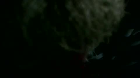 69sextoyboy69 online show from 23, 12, 2025