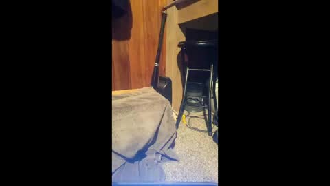 69vz69 online show from 8, 3, 2026