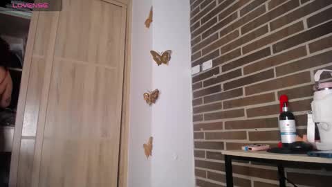 6nalanie online show from 16, 3, 2026