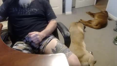 Snapshot of 70paborn chatting on 13, 10, 2025 MASTIFF online show from 13, 10, 2025