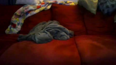 Snapshot of 77steve7777 chatting on 18, 12, 2025 77steve7777 online show from 18, 12, 2025