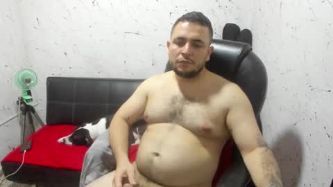     ----       online show from 14, 2, 2026