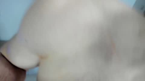 Alex online show from 28, 1, 2025