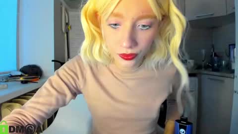 Snapshot of _alice_kitty chatting on 16, 12, 2024 Gaylord online show from 16, 12, 2024