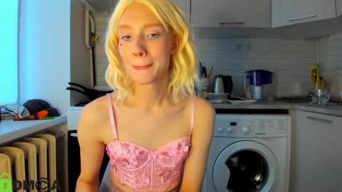 Snapshot of _alice_kitty chatting on 18, 12, 2024 Gaylord online show from 18, 12, 2024