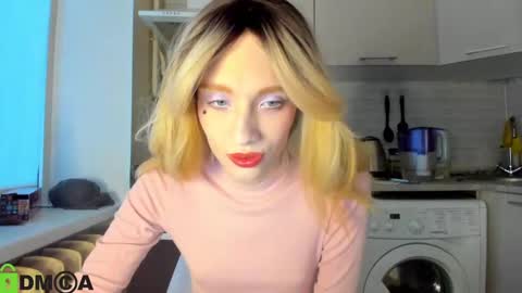 Snapshot of _alice_kitty chatting on 23, 12, 2024 Gaylord online show from 23, 12, 2024