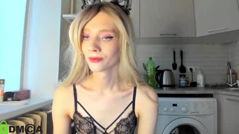 Snapshot of _alice_kitty chatting on 28, 1, 2025 Gaylord online show from 28, 1, 2025