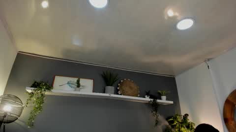  Alice  online show from 20, 2, 2025