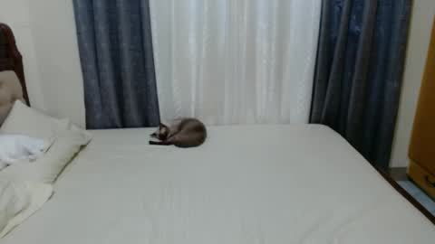 Snapshot of _amberxxx chatting on 1, 12, 2024 Amber online show from 1, 12, 2024