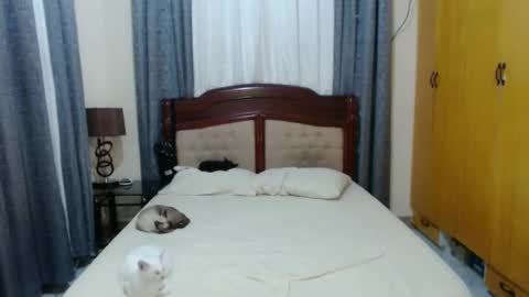 Snapshot of _amberxxx chatting on 30, 1, 2025 Amber online show from 30, 1, 2025