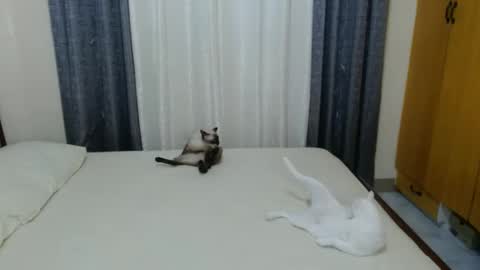 Snapshot of _amberxxx chatting on 3, 2, 2025 Amber online show from 3, 2, 2025