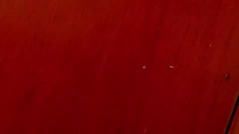 Any online show from 4, 10, 2025