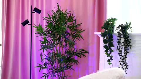 Snapshot of _arielle chatting on 19, 12, 2024 Arielle online show from 19, 12, 2024