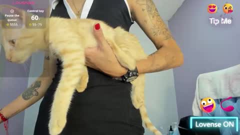  candy jade  online show from 30, 11, 2025