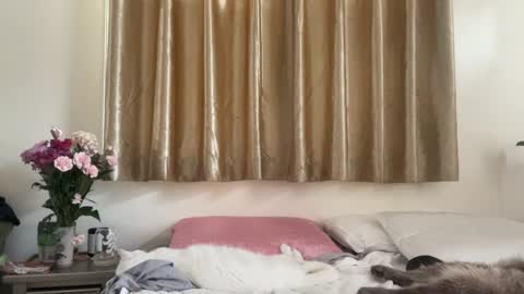 Chelsea xo online show from 16, 2, 2025