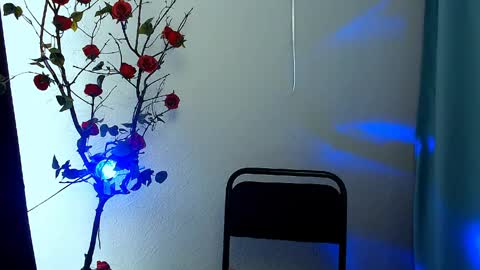 _cutie_and_shy_ online show from 28, 4, 2026