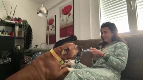 Snapshot of _elena_barra chatting on 29, 11, 2025 elena barra online show from 29, 11, 2025