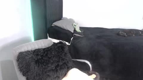 Proxy online show from 25, 9, 2025