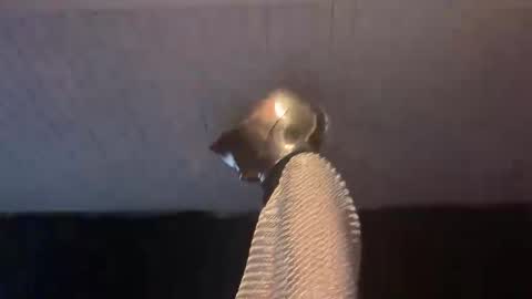 GOODKNIGHT online show from 3, 2, 2025