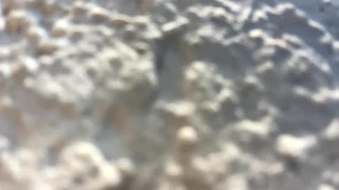 Little Wolfie online show from 3, 2, 2025