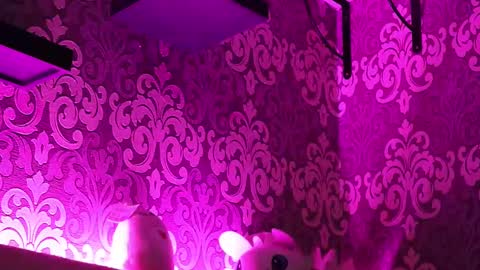 Snapshot of _made_in_hell_ chatting on 23, 2, 2025 Stream at am in MoscowI am waiting for you very much3 online show from 23, 2, 2025