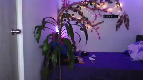 Marce  online show from 17, 7, 2026