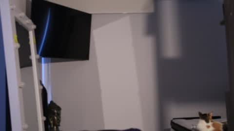 Snapshot of _mikestone chatting on 7, 2, 2025 soy mike online show from 7, 2, 2025