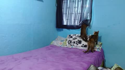 Snapshot of _sammanttha chatting on 26, 2, 2025 Sammy online show from 26, 2, 2025