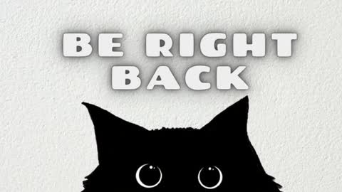 Ask me online show from 12, 1, 2026