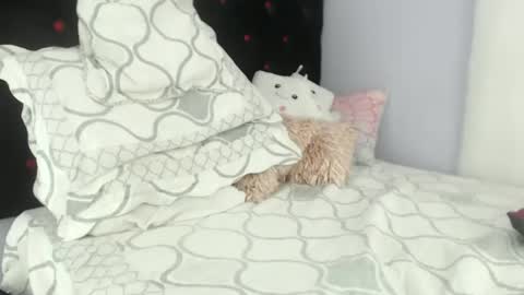 Alexa online show from 29, 1, 2025