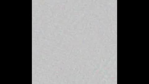 _tammarra_ online show from 14, 2, 2025