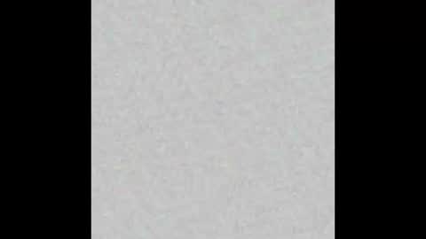 _tammarra_ online show from 3, 2, 2026