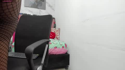 tinny online show from 26, 12, 2024